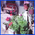 Open all Winter Durango RV Parks 