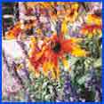 Campgrounds RV Parks Durango Colorado