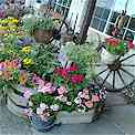 RV Parks Durango Colorado WiFi Wi-Fi Internet Broadband