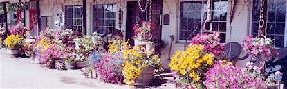 Durango Colorado Campgrounds RV Parks
