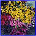 Durango RV Open  All Year Winter RV Parks